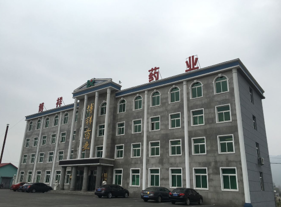 &#20048;&#21160;&#23448;&#26041;&#31471;&#32593;&#39029;&#29256;&#45;&#20048;&#21160;&#40;&#20013;&#22269;&#41;
